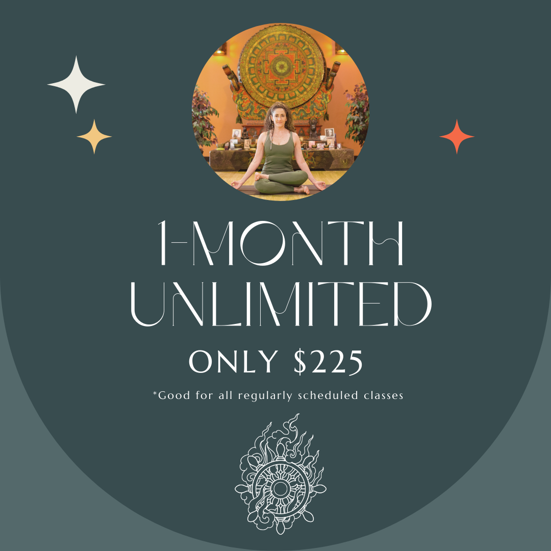 v1-1-month-unlimited